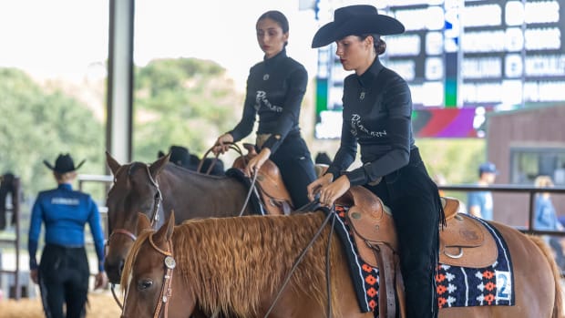 Auburn Equestrian